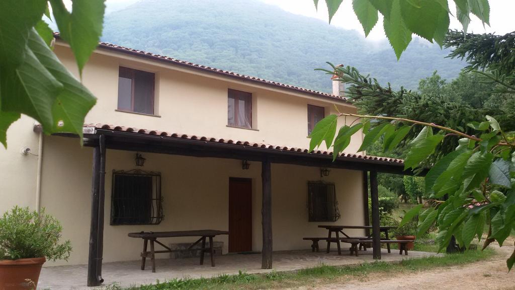 Agriturismo Collevento Trecchina Zimmer foto