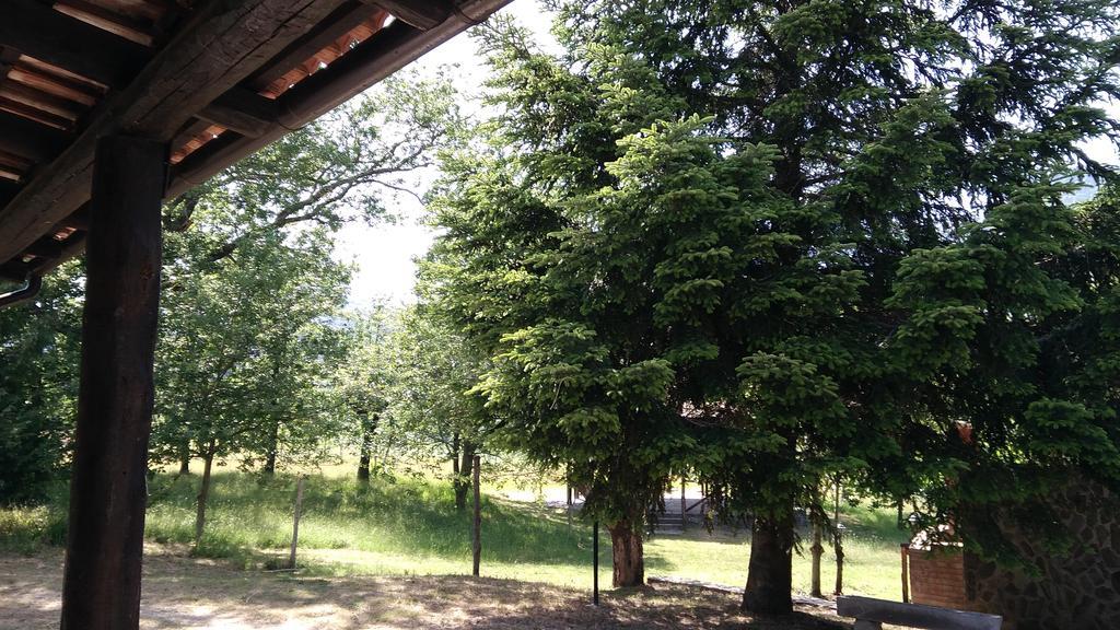 Agriturismo Collevento Trecchina Exterior foto